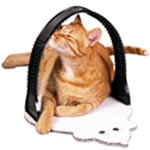 Grooming Products Grooming Products